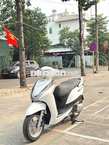 Honda Lead 2013 Trắng