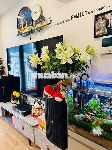  Cần bán căn hộ chung cư cao cấp 