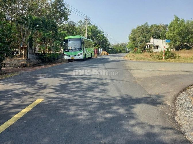588 TRIỆU SỞ HỮU 310m² ĐẤT - CÓ NHỮNG GIẤC MƠ AN CƯ BẮT ĐẦU TỪ ĐÂY