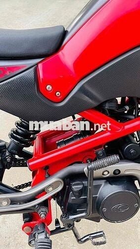 [KO CẦN BẰNG LÁI]👉 kymco Kpipe 50cc 2022✨1chủ✨95%✨