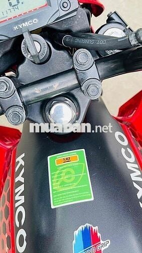 [KO CẦN BẰNG LÁI]👉 kymco Kpipe 50cc 2022✨1chủ✨95%✨
