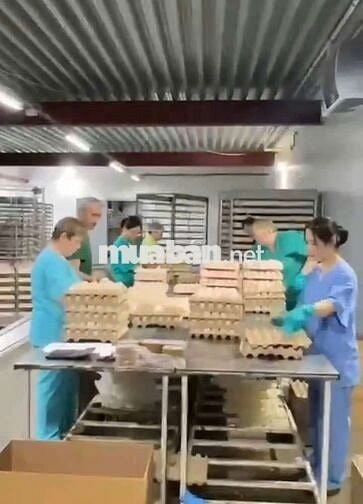 CÔNG NHÂN CBTP TẠI NGA