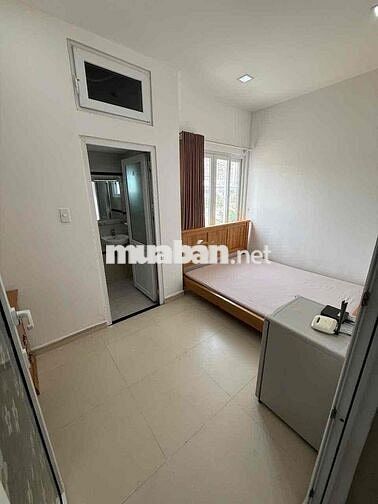 cho thuê căn hộ đường phú mỹ giá tốt đầy đủ tiện nghi cao cấp