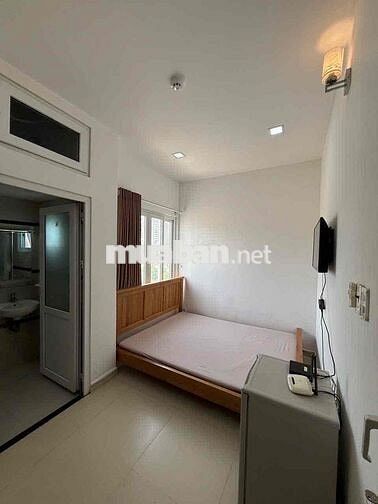 cho thuê căn hộ đường phú mỹ giá tốt đầy đủ tiện nghi cao cấp