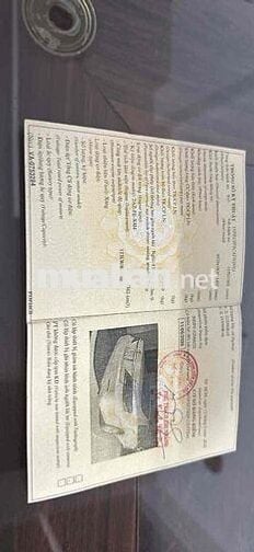 Toyota Camry 2008 Trắng Tự động