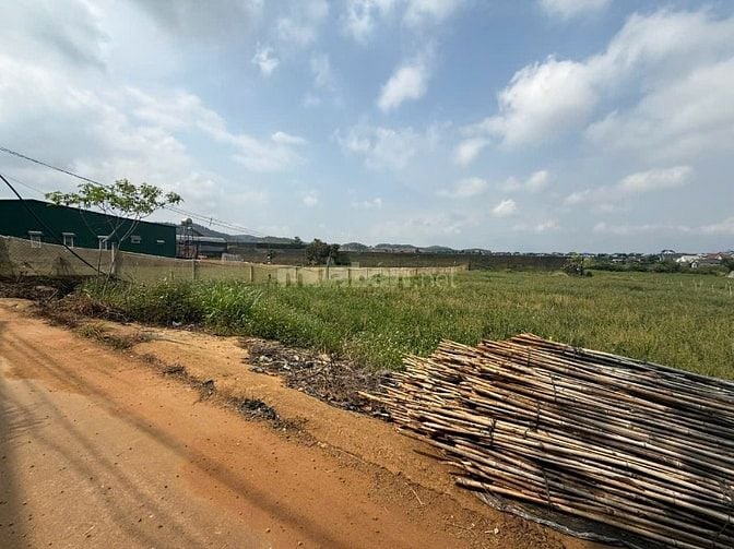 Chủ gửi bán lô đất 4625m vuông, quy hoạch thổ cư, 50m mặt bê tông.