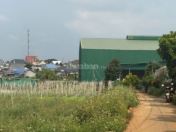 Chủ gửi bán lô đất 4625m vuông, quy hoạch thổ cư, 50m mặt bê tông.