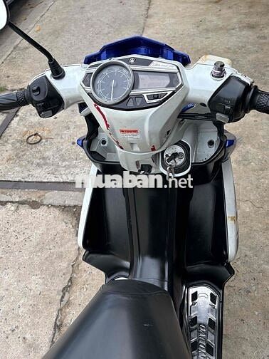 Yamaha Nouvo GP Edition Trắng, Xanh