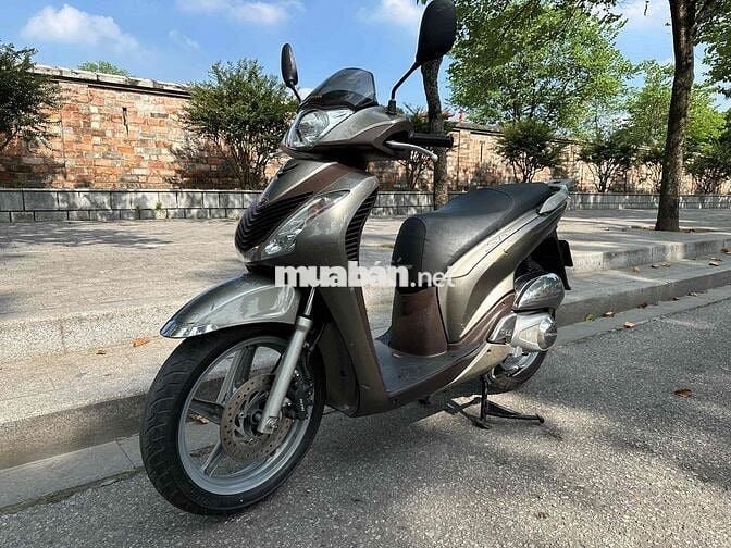 Honda SH Limited 2011 Nâu Ý