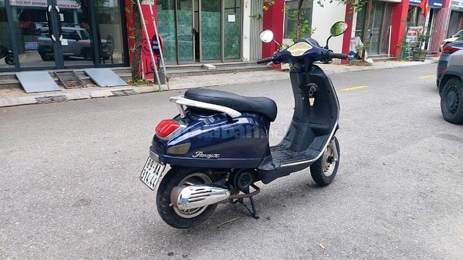 Dibao Pansy X 50cc 2020 Xanh đi chợ
