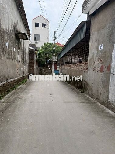 Đất Tổ 2 Quang Minh 43,7m² MT 3,5-Sẵn Nhà Cấp 4 Cho Thuê, Ô Tô Đỗ Cửa 