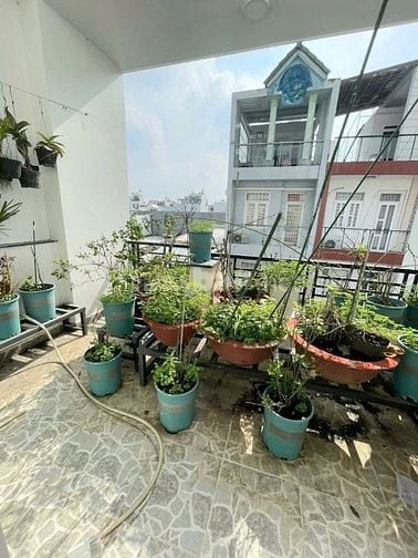 Chi thuê nhà full nội thất đường mã lò