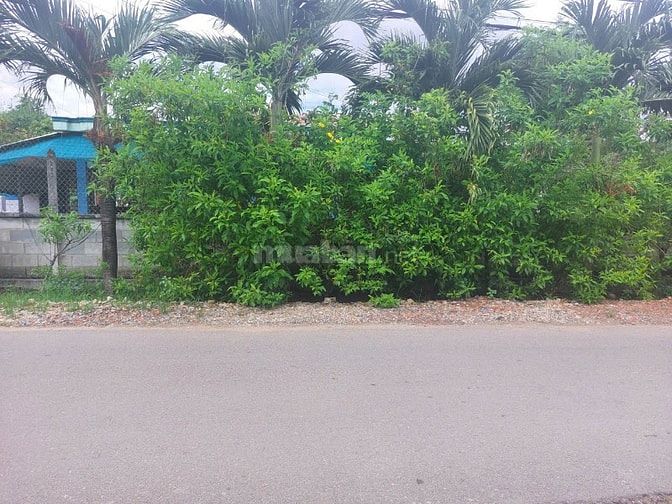 ĐẤT CỦ CHI 510m² CHỈ 518 TRIỆU - KHÔNG MUA TÀI SẢN NÀY THÌ TÌM TÀI SẢN