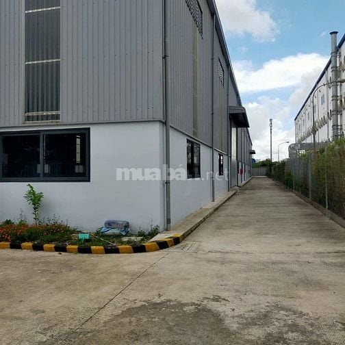 Cần cho thuê nhà xưởng KCN Tân tạo, KCN Lê Minh Xuân, KCN Vĩnh Lộc