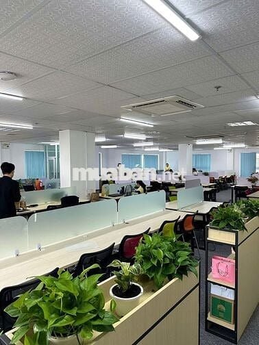 DĨ AN BCONS TÌM KIẾM RẤT NHIỀU NHÂN SỰ