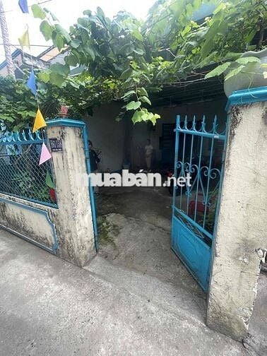 nhà cấp 4 Mẹ Nhu dt lớn có sân để xe kiệt rộng 61