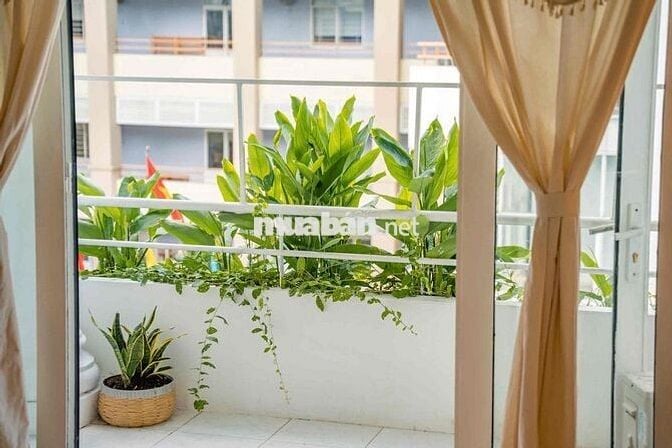 CHO THUÊ CHDV BAN CÔNG VEW THOÁNG MÁT FULL NỘI THẤT QUẬN 1