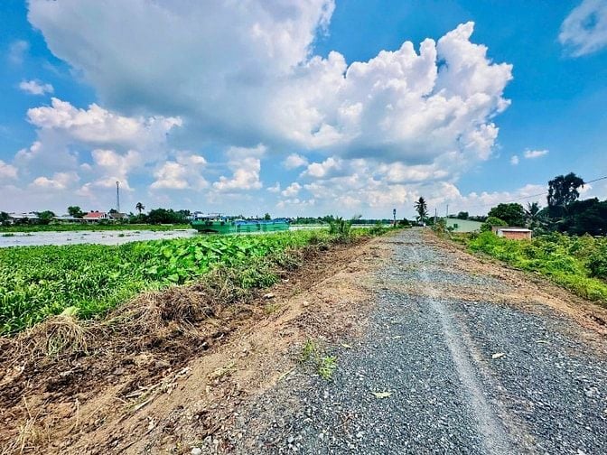 Kèo Thơm Đất Vườn Mặt Tiền Sông Vàm Cỏ Đông . 680 Triệu Hết Sổ .