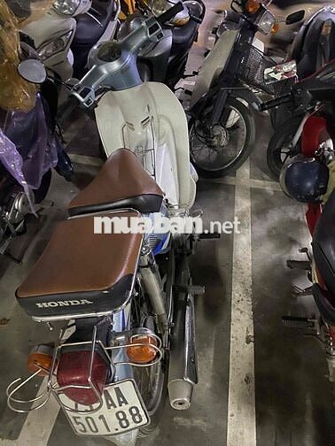 Cup 81-50cc học sinh biển 29AA 501.88 4,5tr