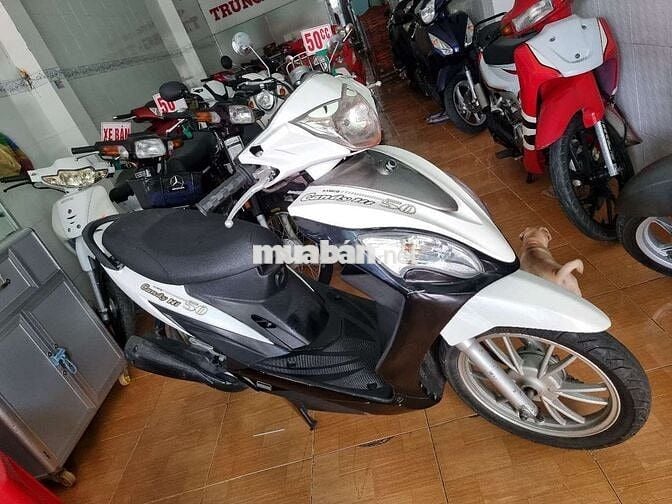 Kymco Candy Hi 50 Trắng