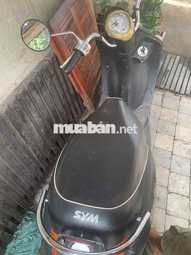 SYM Elite 50 2018 Đen nhám