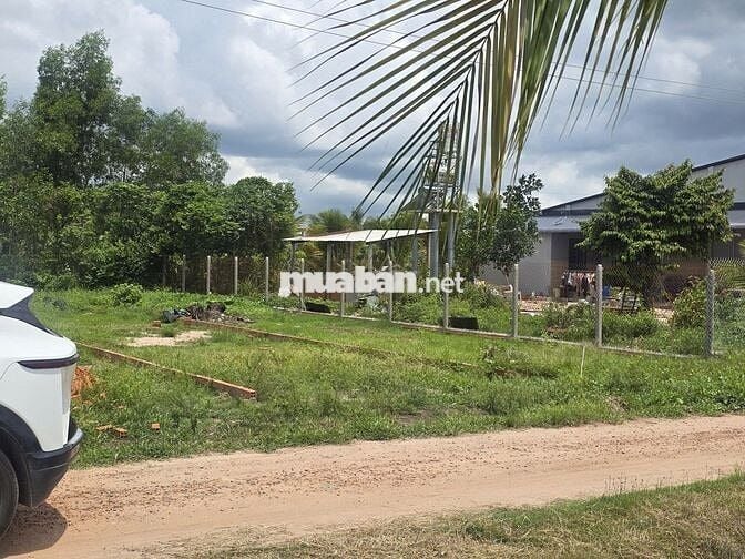 Chủ ngộp bán lô đất ngay trường tiểu học 200m2 sẵn thổ cư giá 850tr
