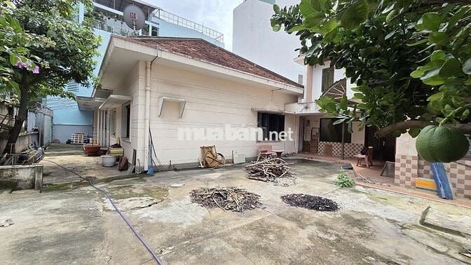 [25mx19m]🏡BIỆT THỰ SÂN VƯỜN ❌ CÁCH NGÃ TƯ PHÚ NHUẬN 300M ❌ CHO THUÊ !!