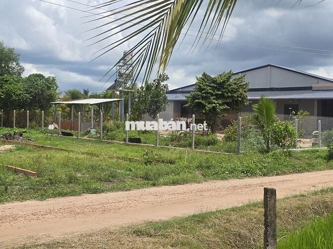 Chủ ngộp bán lô đất ngay trường tiểu học 200m2 sẵn thổ cư giá 850tr