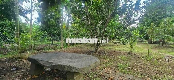 Chủ về thành phố ở với con bán nhanh căn nhà tâm huyết 180tr