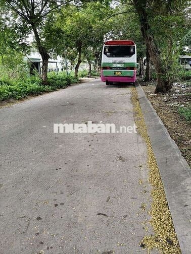 Đất nền KDC Long Hậu Hòa Bình 