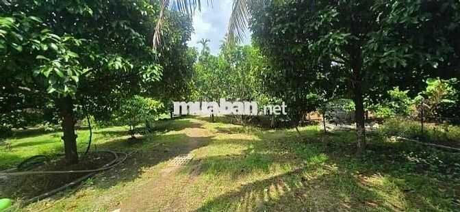 Chủ về thành phố ở với con bán nhanh căn nhà tâm huyết 180tr