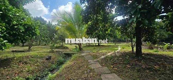 Chủ về thành phố ở với con bán nhanh căn nhà tâm huyết 180tr