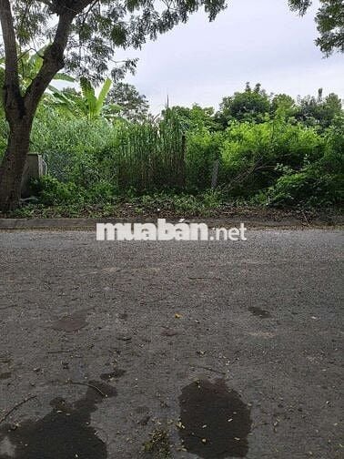 Đất nền KDC Long Hậu Hòa Bình 