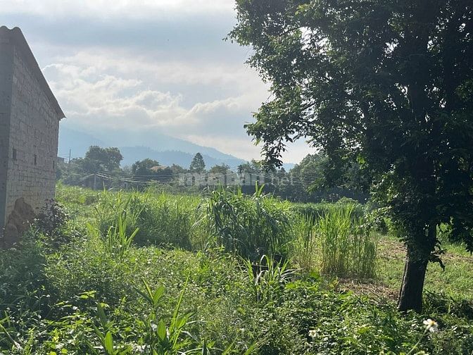  Chính chủ bán lô đất tại thôn Mít Mái, Yên Bài, Hoà Lạc