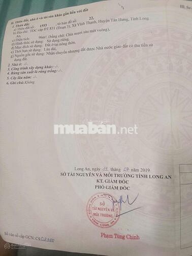 Bán đất nền ngang 6m, mặt tiền đường nhựa TL831, Tân Hưng
