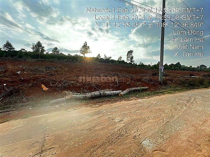 Công ty Đấu giá hợp danh Lam Sơn Sài Gòn thông báo đấu giá tài sản