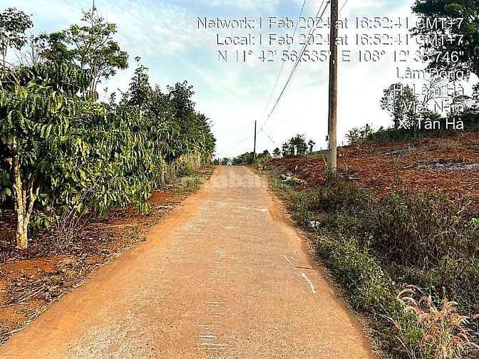 Công ty Đấu giá hợp danh Lam Sơn Sài Gòn thông báo đấu giá tài sản