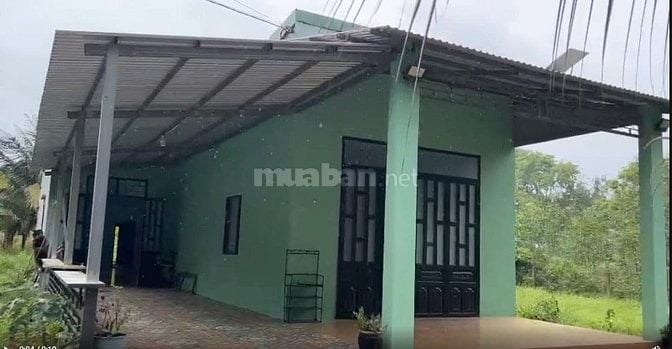 CHÍNH CHỦ CHO THUÊ HOẶC BÁN NHÀ ĐẤT 1.600m² – KHÔNG GIAN RỘNG RÃI, PHÙ