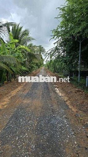Đất liền kề Vành đai 3 diện tích 990m2