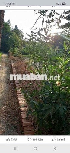 Bán đất mặt tiền ĐT741 gần Giáo xứ Nước Vàng, sổ riêng, có thổ cư, đã