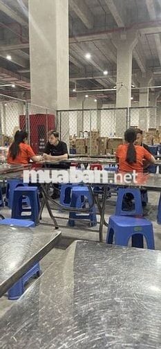 [VIEC.CO] TUYỂN NHÂN VIÊN KHO SHOPEE WH XUYÊN Á