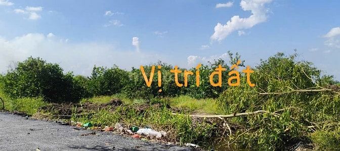 Cần Bán 500 - 600m2 Đất xã Thanh Lợi, vị trí đẹp, khu dân cư hiện hữu