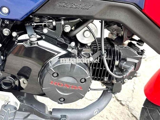 Honda MSX125 2020 Đỏ 9k km