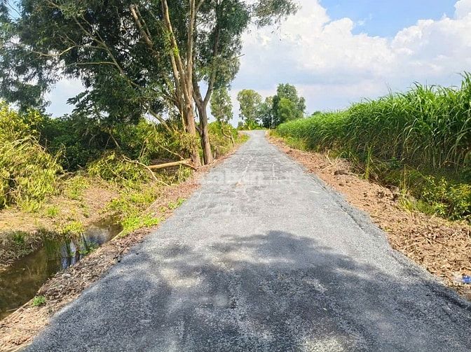 Cần Bán 500 - 600m2 Đất xã Thanh Lợi, vị trí đẹp, khu dân cư hiện hữu