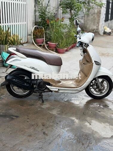 Nozza Fi biển 95 ngây chủ máy êm ru fun chức năng