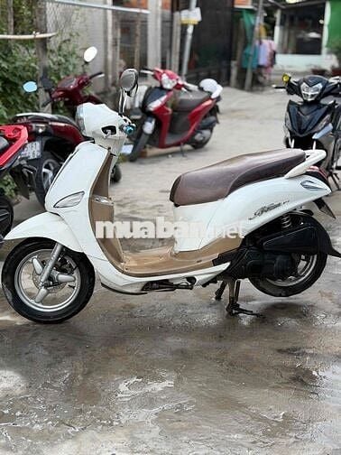 Nozza Fi biển 95 ngây chủ máy êm ru fun chức năng