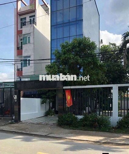 TOÀ NHÀ VĂN PHÒNG ĐƯỜNG 11 TRƯỜNG THỌ