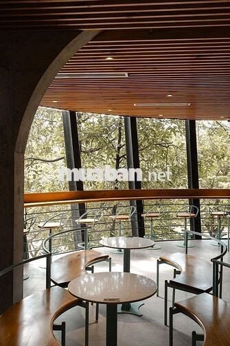 Nhà cực kỳ đẹp tại Trường Sa QBT. Cafe, showroom, đầu tư đâu ạ? !!!