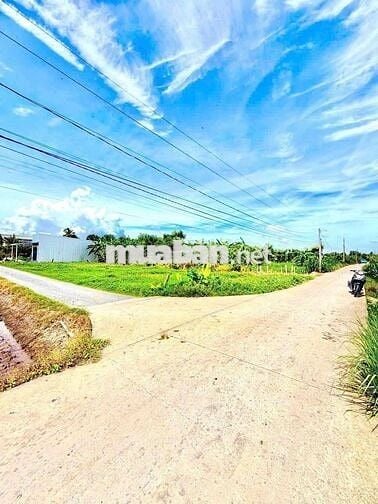 Hàng Ngộp, chỉ 385tr sở hữu 112m² đất thổ đường ô tô