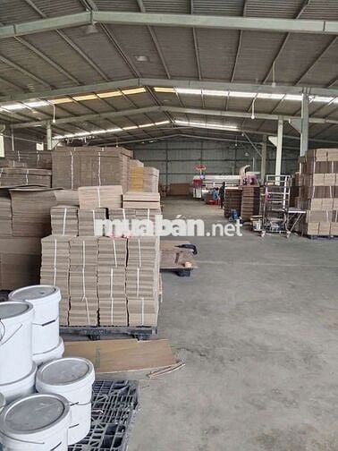 xưởng cho thuê Bình mỹ củ chi giá rẻ